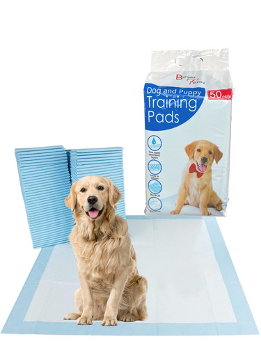 Extra large puppy training - large,