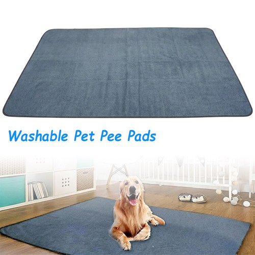 Puppy pet training pads - pet,