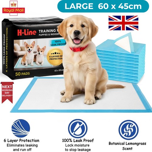 Heavy duty dog - heavy,