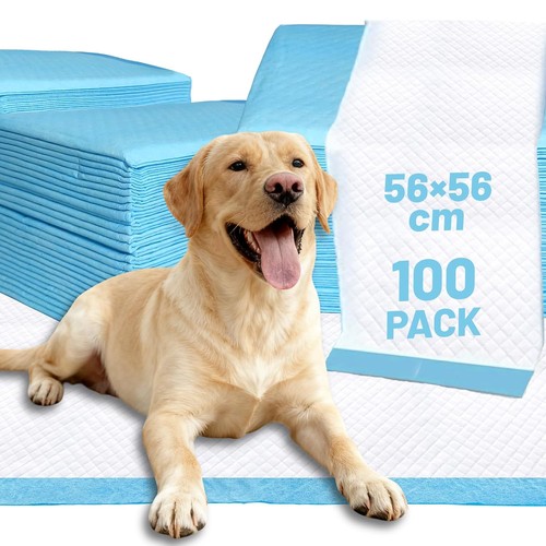 100 large puppy training - 100,