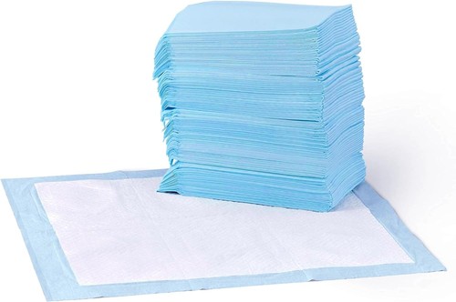 100 puppy training - training, odour