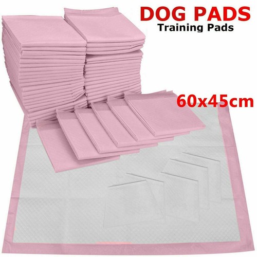 Large puppy training - 50,