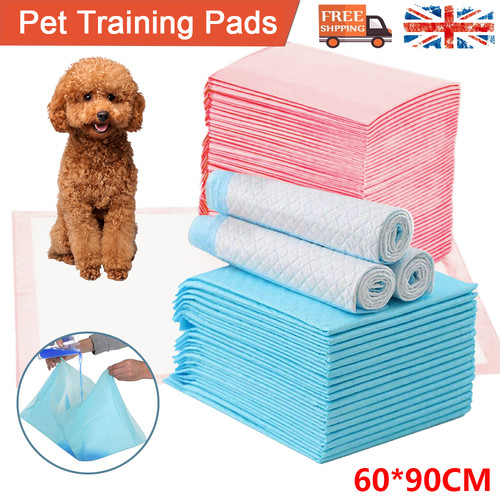 60x90cm large puppy - large, training