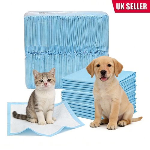 100 pack puppy - 100,