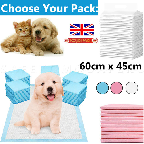 200 large puppy - puppy, training
