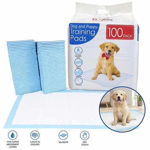 100 puppy training - 100,