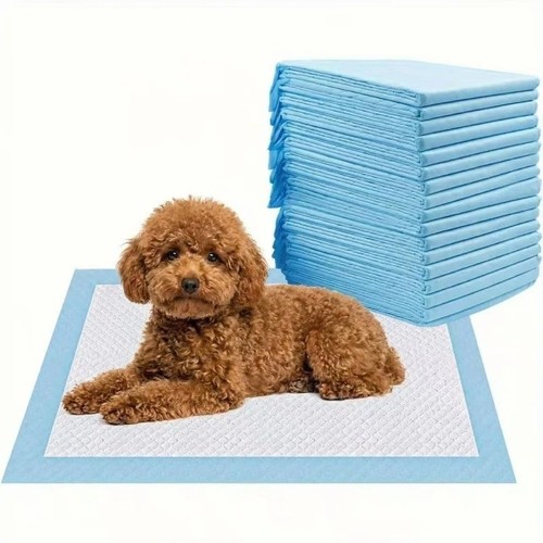 100 large puppy training - large,