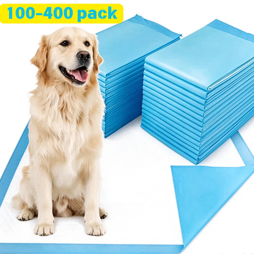 100 large puppy training - large,