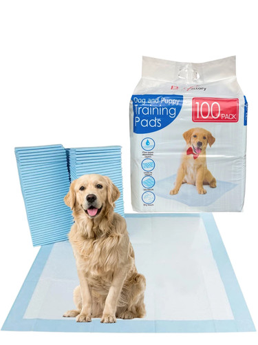100 large puppy training - 100,