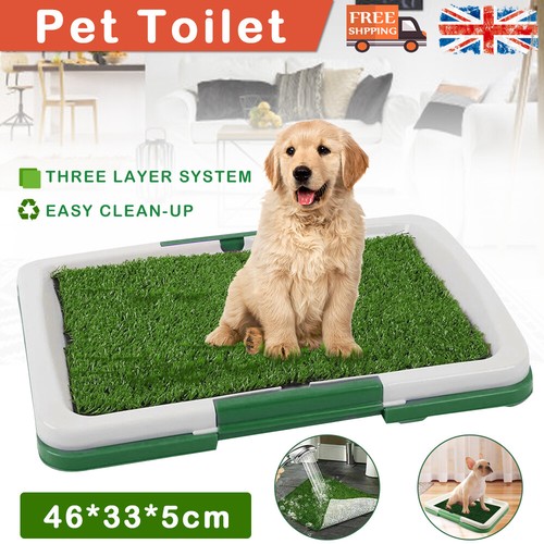 Pet dog toilet mat indoor - pet,