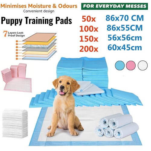 Large puppy training trainer - training,