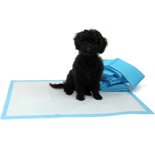 100 puppy pads dog - puppy, pet